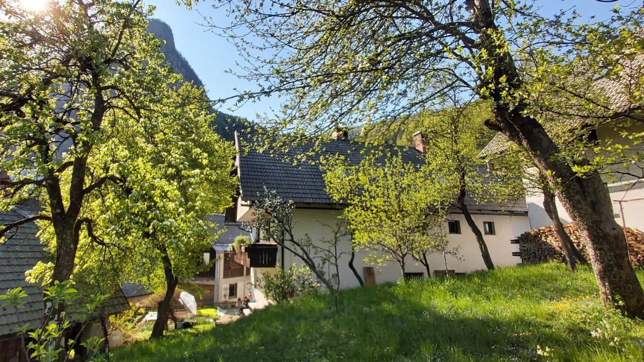 Apartmaji Pekovec Bohinj Bagian luar foto