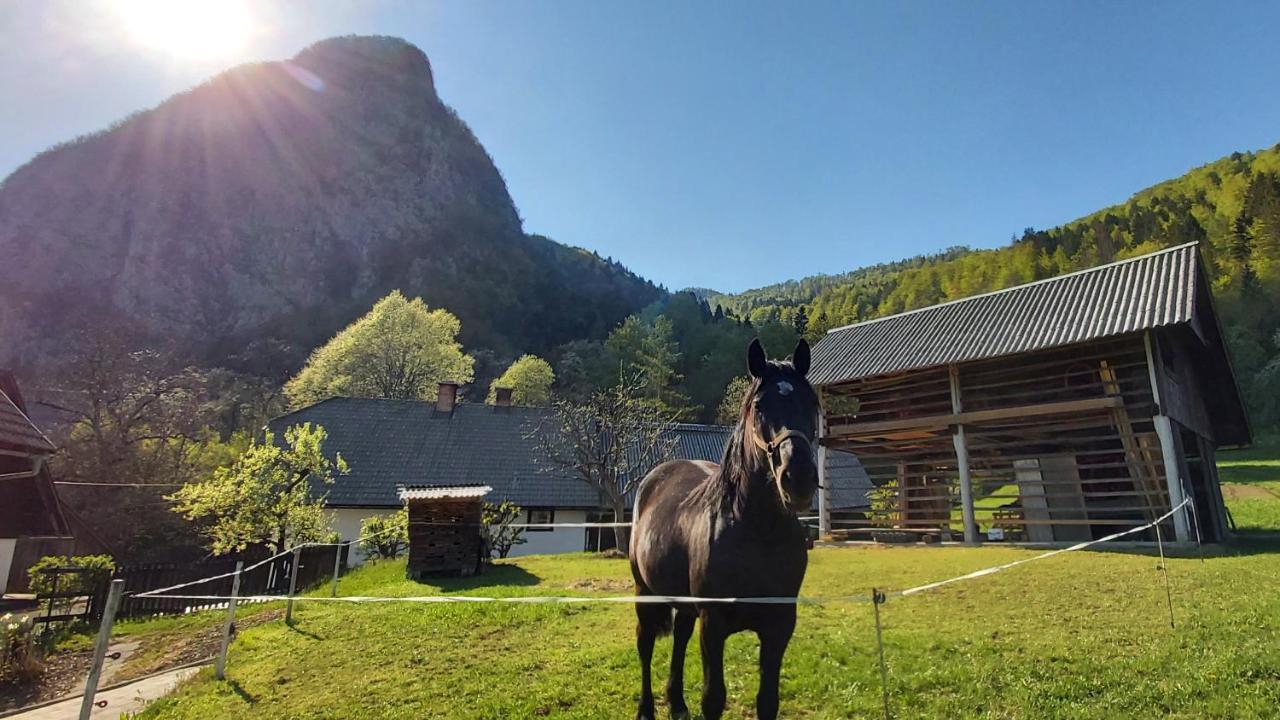 Apartmaji Pekovec Bohinj Bagian luar foto