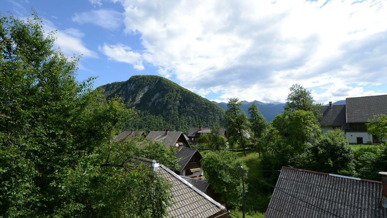 Apartmaji Pekovec Bohinj Bagian luar foto
